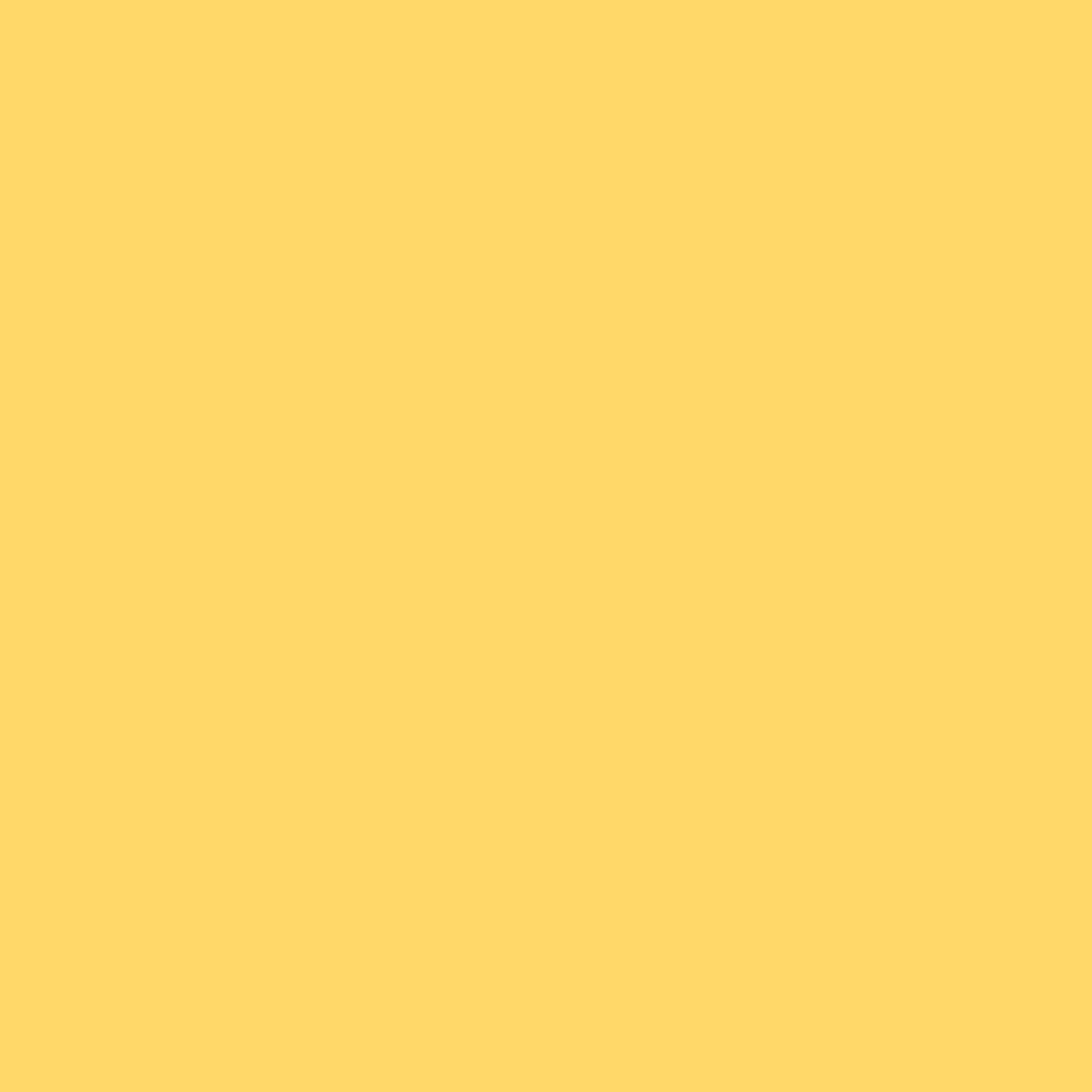 Yellow Raincoat 2020-40