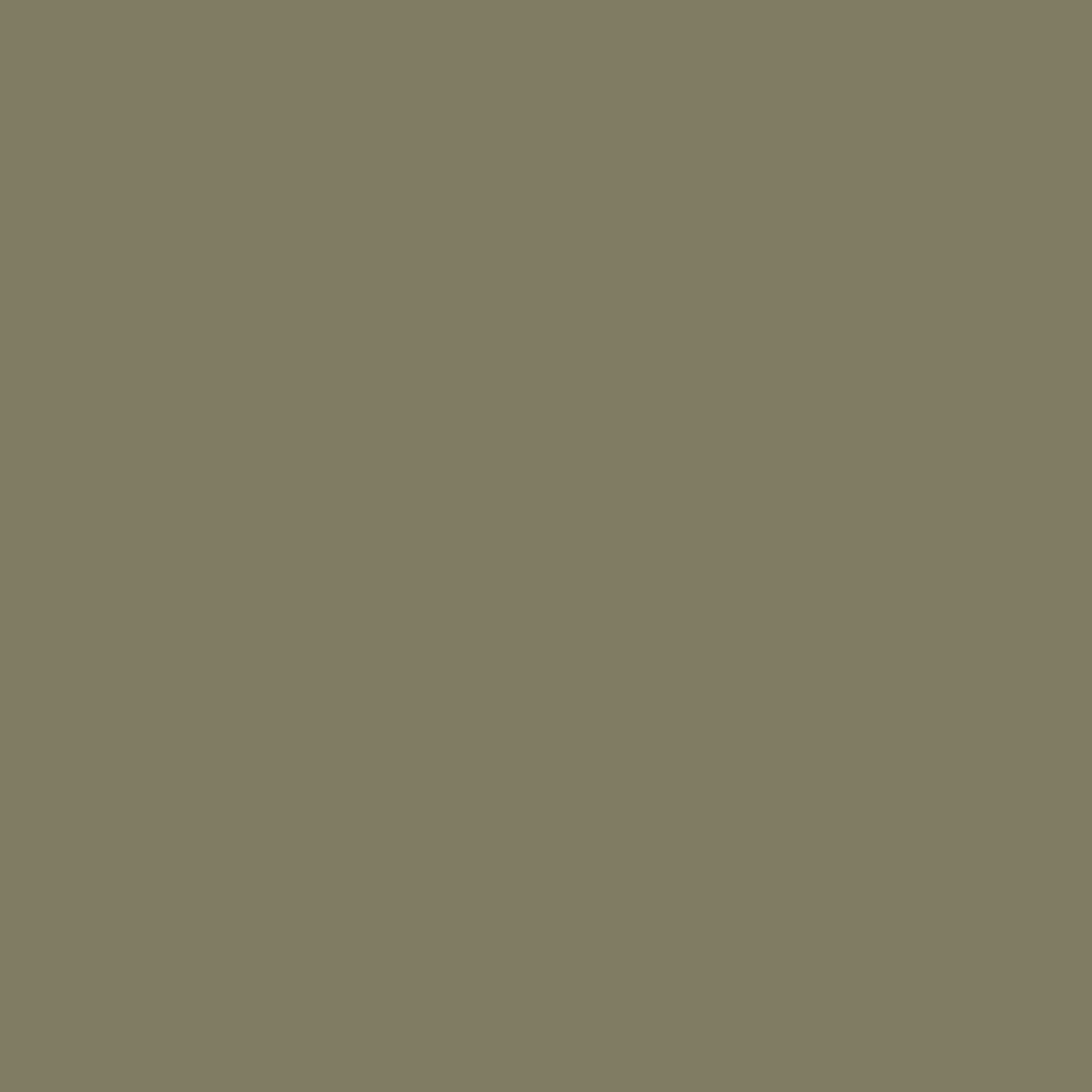 【美品】pretty green m-65 brown archive Tarzan Green Clay Matt – SNS Laminates