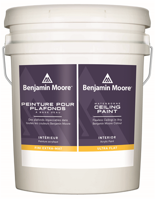 Waterborne Ceiling Paint 508