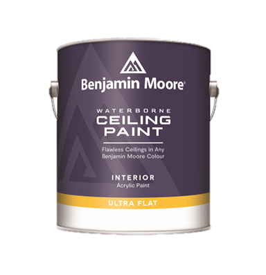 Waterborne Ceiling Paint 508